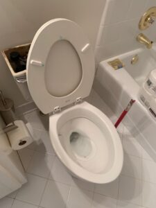 Here are 7 Items That You Need to Stop Flushing Down the Toilet